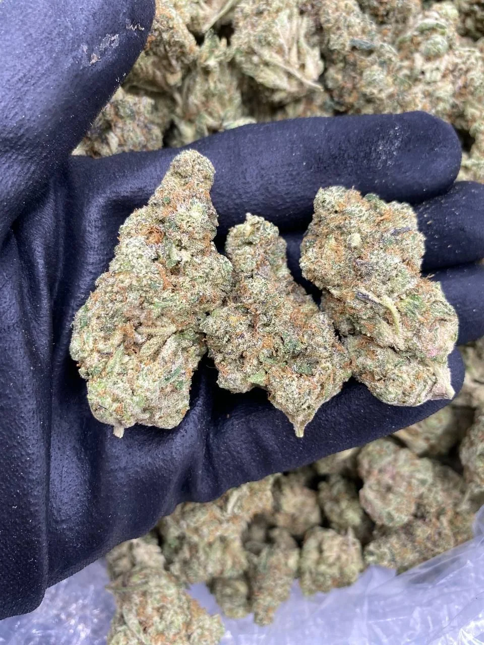 Wholesale hemp products 2400mg, available for bulk purchase in Canada.